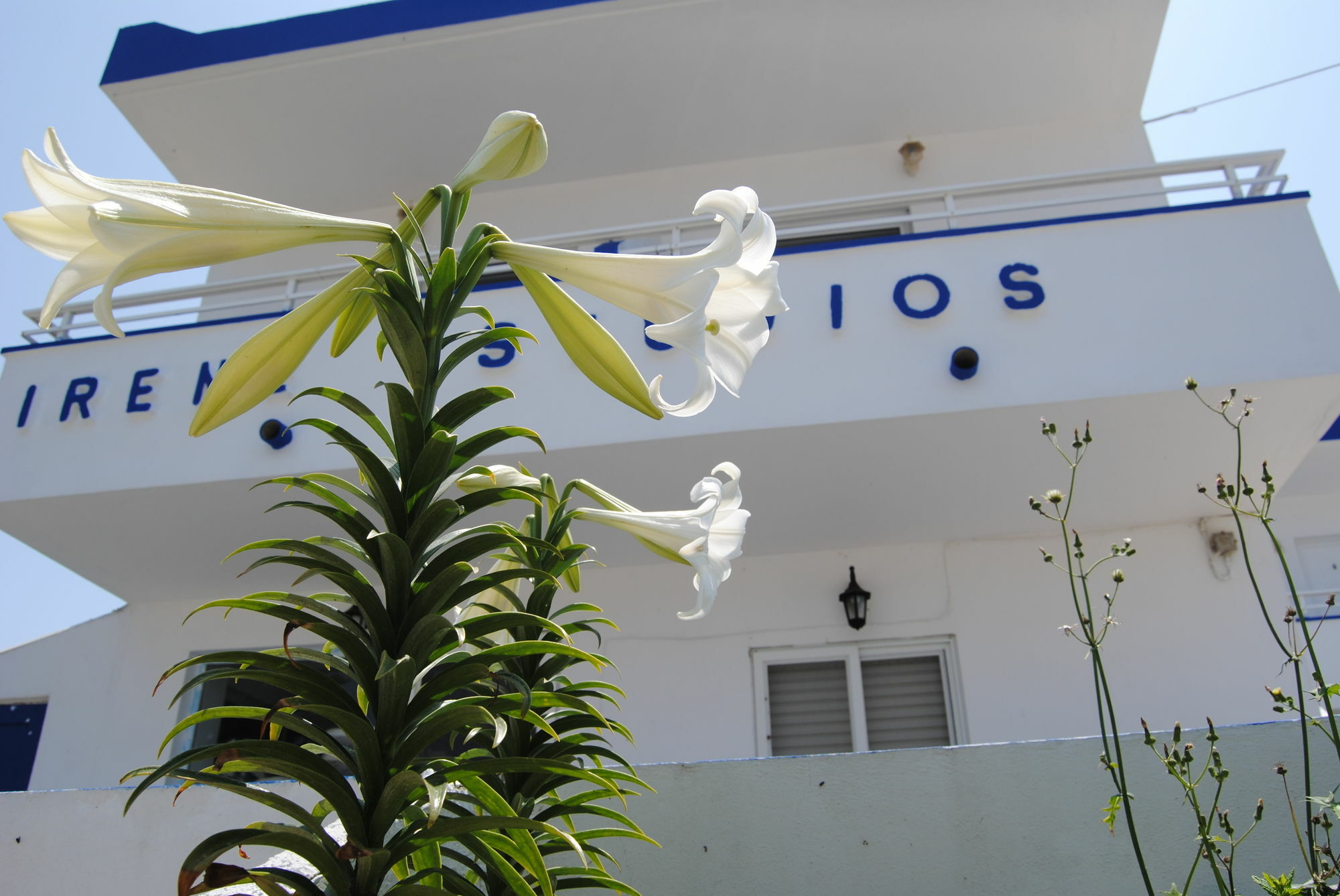 Irene Studios Kefalos  Exterior photo